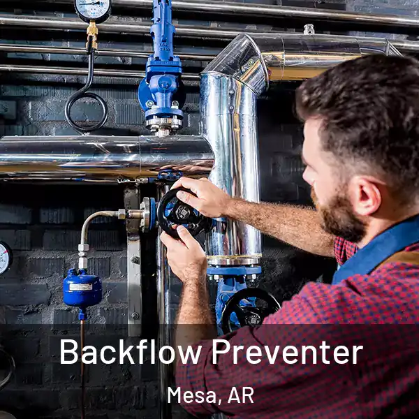  Backflow Preventer Mesa, AR
