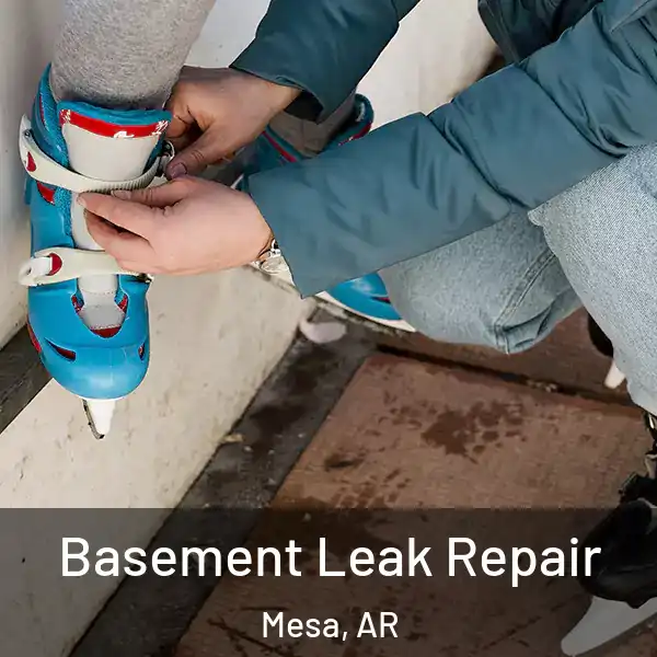  Basement Leak Repair Mesa, AR