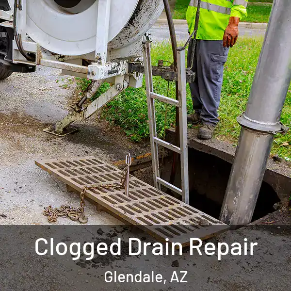 Clogged Drain Repair Glendale, AZ