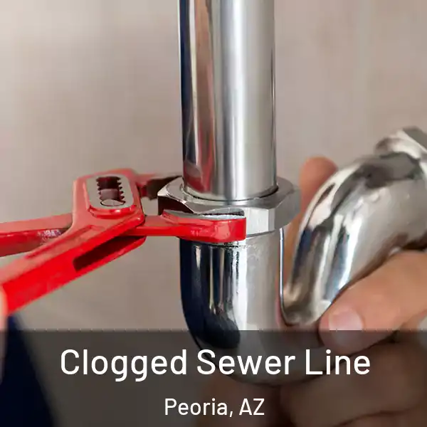  Clogged Sewer Line Peoria, AZ