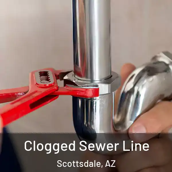  Clogged Sewer Line Scottsdale, AZ
