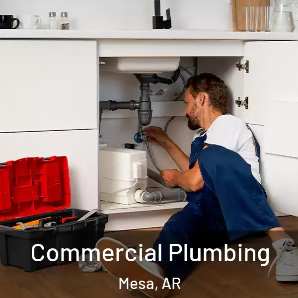  Commercial Plumbing Mesa, AR