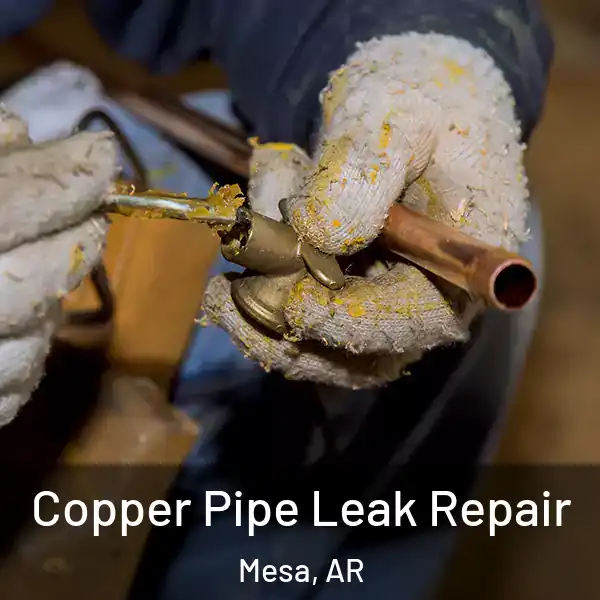  Copper Pipe Leak Repair Mesa, AR