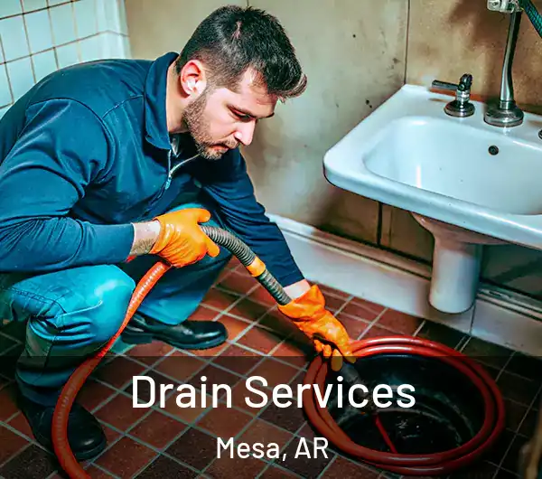  Drain Services Mesa, AR