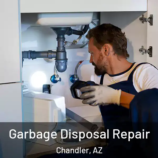  Garbage Disposal Repair Chandler, AZ
