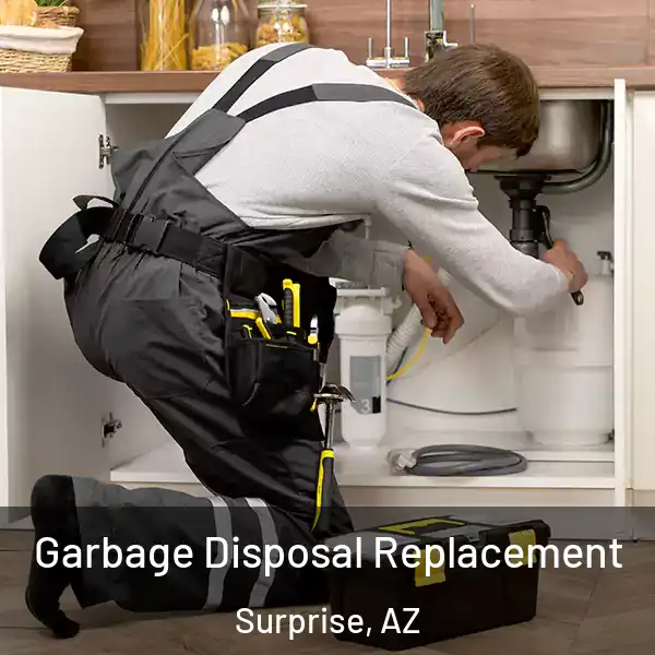  Garbage Disposal Replacement Surprise, AZ