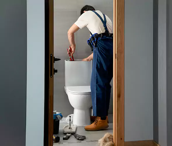 Professional Plumbers for Toilet Bowl Replacement in Phoenix, AZ: Schedule Affordable Toilet Replacement Services With Us