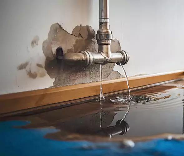 Professional Water Damage Restoration Experts in Phoenix, AZ — Fast, Reliable & Certified