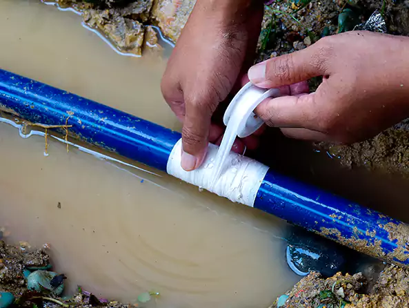  Why Choose MR Plumbing AZ for Leak Detection in Phoenix, AZ?]