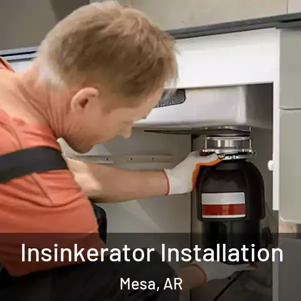 Insinkerator Installation Mesa, AR