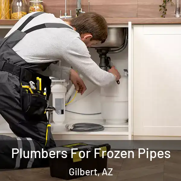 Plumbers For Frozen Pipes Gilbert, AZ