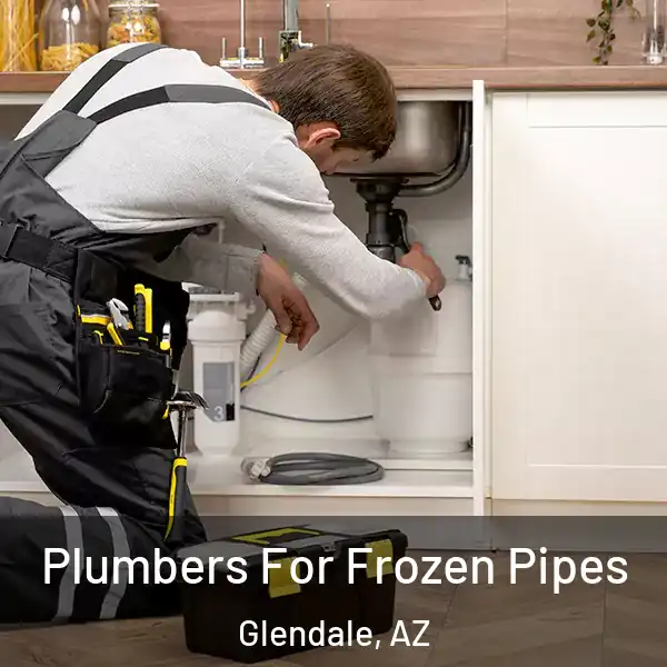  Plumbers For Frozen Pipes Glendale, AZ