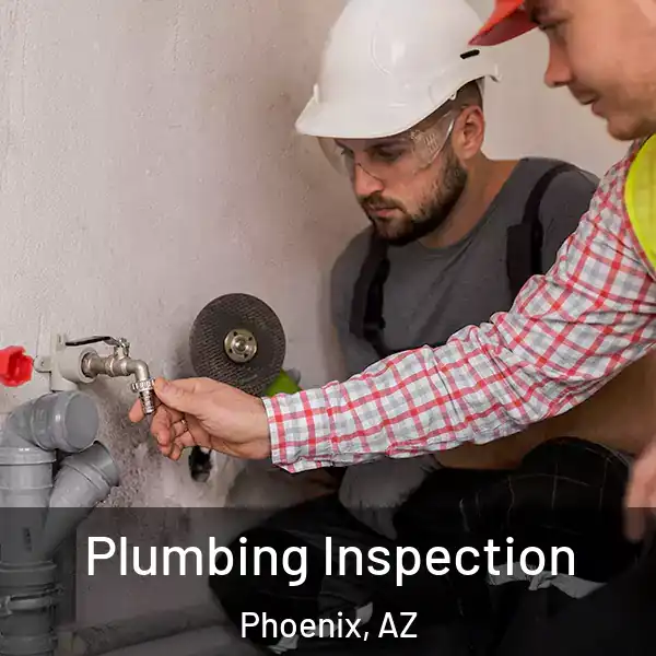  Plumbing Inspection Phoenix, AZ