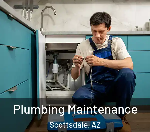  Plumbing Maintenance Scottsdale, AZ