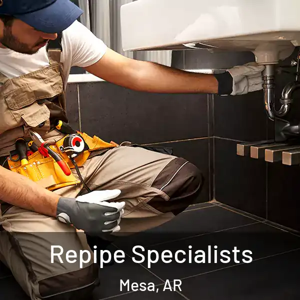  Repipe Specialists Mesa, AR