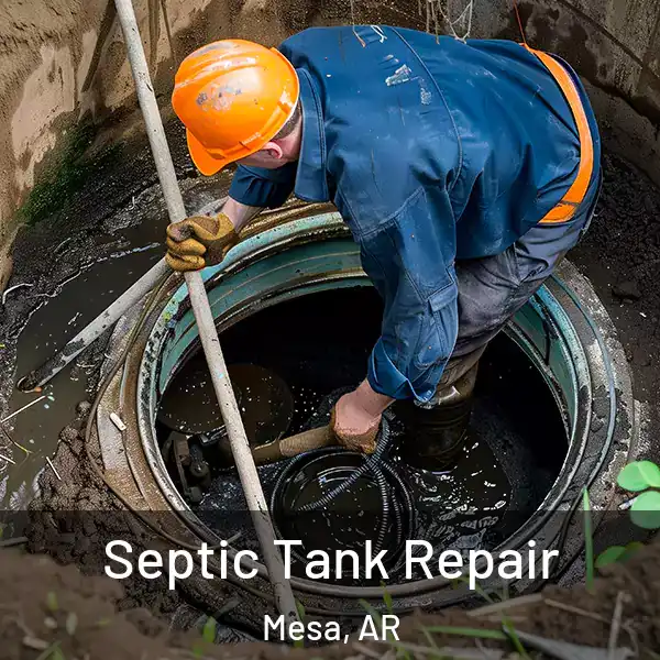  Septic Tank Repair Mesa, AR
