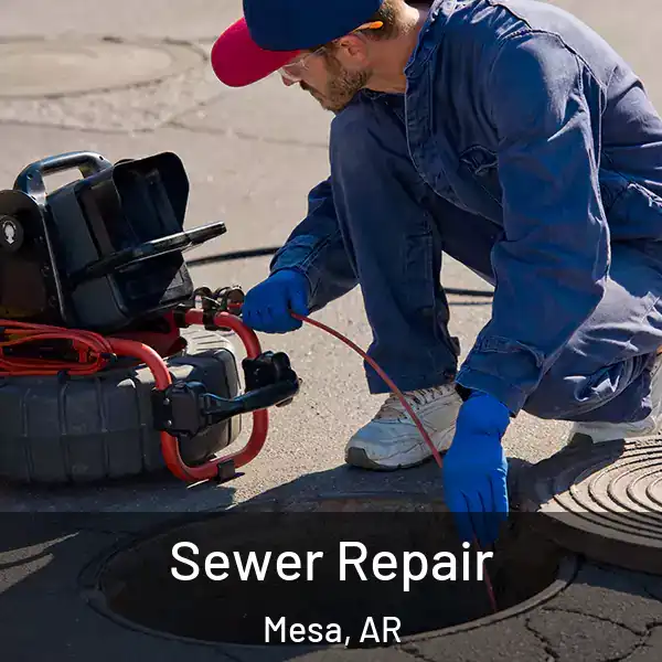 Sewer Repair Mesa, AR
