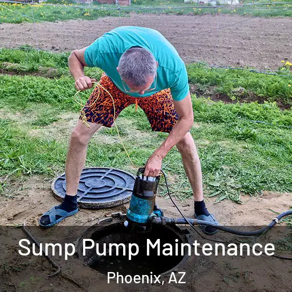  Sump Pump Maintenance Phoenix, AZ