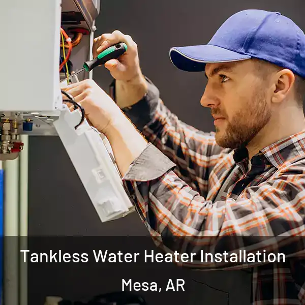  Tankless Water Heater Installation Mesa, AR