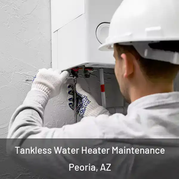  Tankless Water Heater Maintenance Peoria, AZ