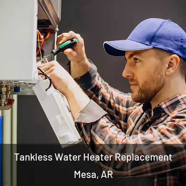  Tankless Water Heater Replacement Mesa, AR
