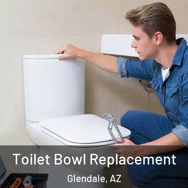  Toilet Bowl Replacement Glendale, AZ