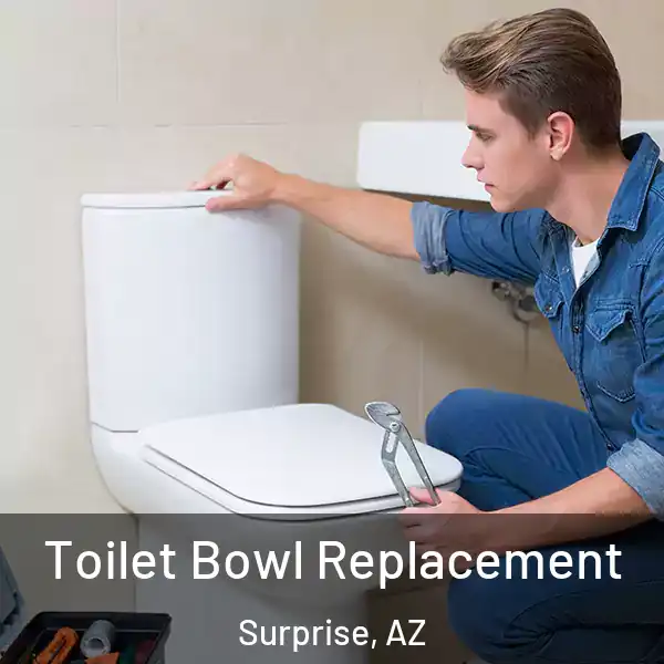  Toilet Bowl Replacement Surprise, AZ