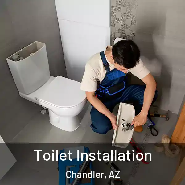  Toilet Installation Chandler, AZ