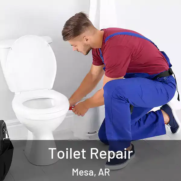  Toilet Repair Mesa, AR