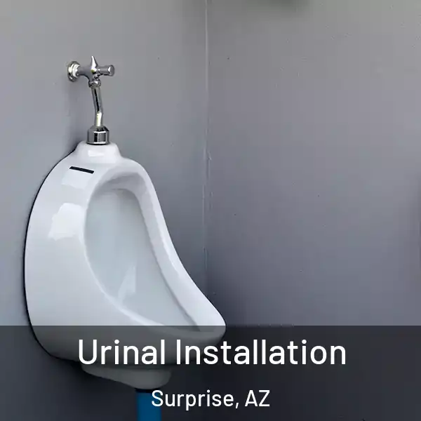  Urinal Installation Surprise, AZ