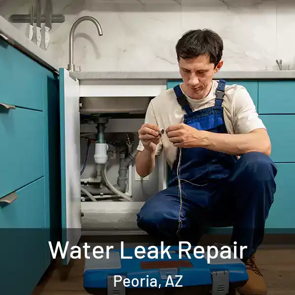  Water Leak Repair Peoria, AZ